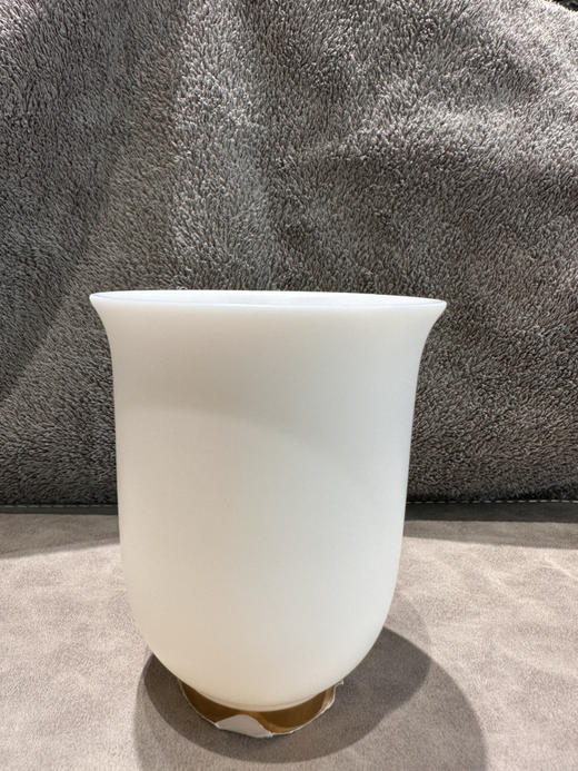 加金主人杯 商品图1