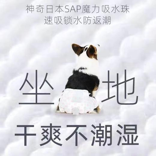 两只福狸纸尿裤 商品图2