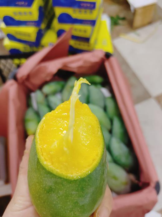 桂七芒5斤 商品图2