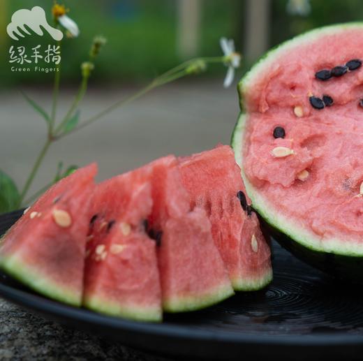 有机小西瓜  | 合作生产 * Organic Watermelon | Partner Production 商品图3