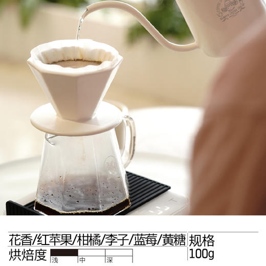 【限量】厄瓜多尔乔萝拉希爪 双重厌氧蜜处理 商品图1