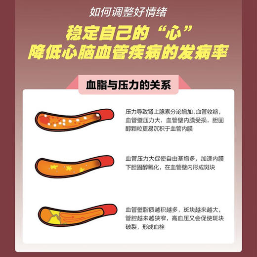 逆转 降血脂保护心血管 陈伟伟 著 养生保健 商品图1