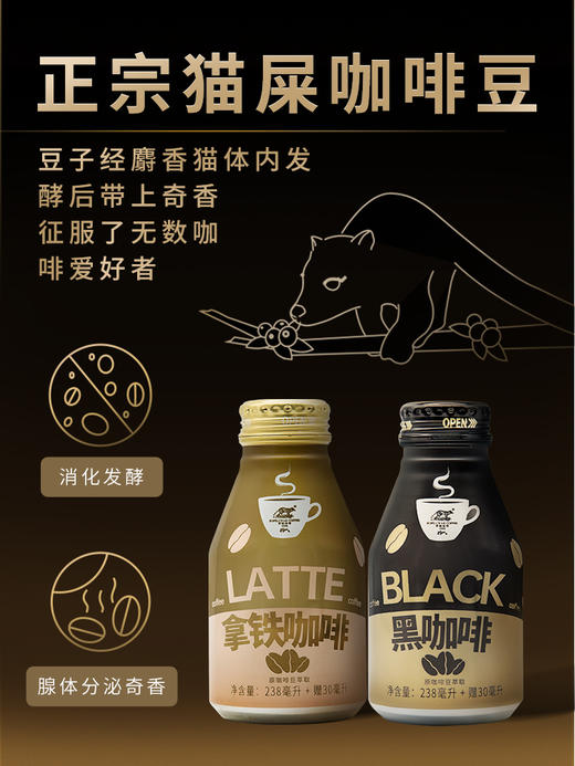 野鼬猫屎咖啡饮料238ml/BC罐12瓶/箱 商品图2