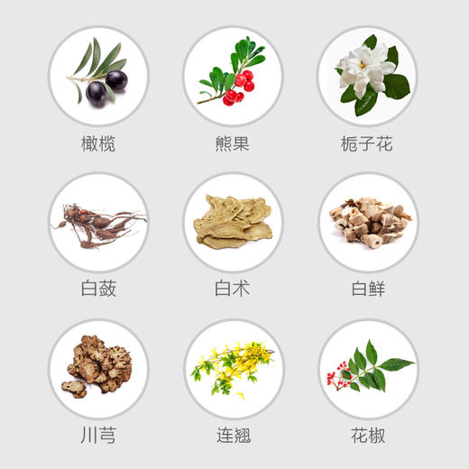 今韵 滋润肌肤  舒缓细纹 栀子白蔹日霜 30g 商品图1
