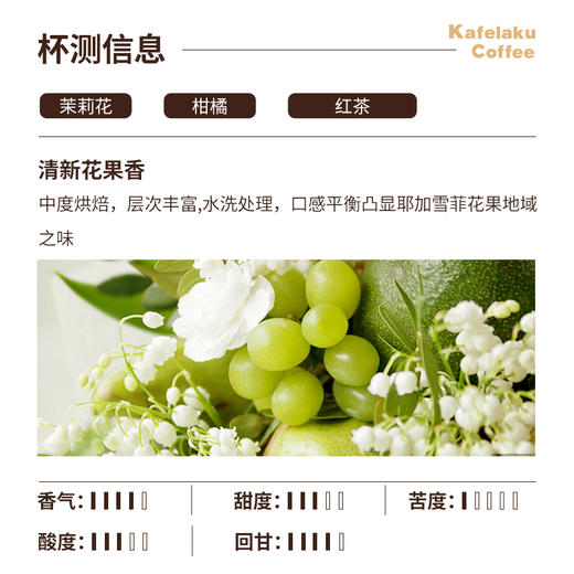野鼬耶加雪啡挂耳咖啡9x10g*24盒/箱 商品图3