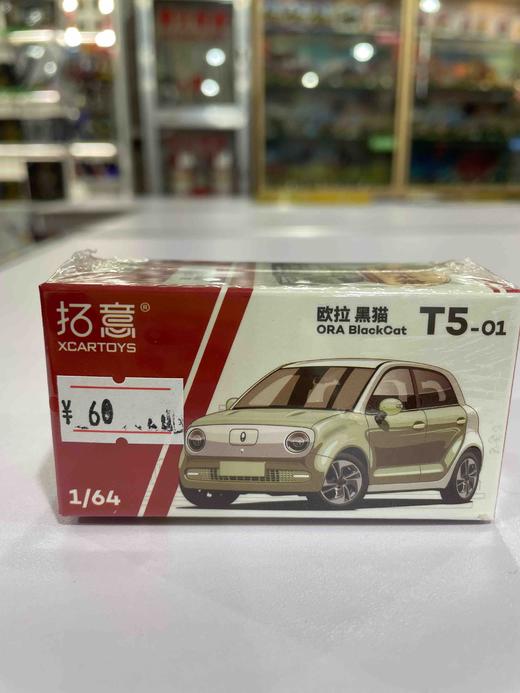 拓意合金车  T5-1	欧拉黑猫-奶油绿 商品图0