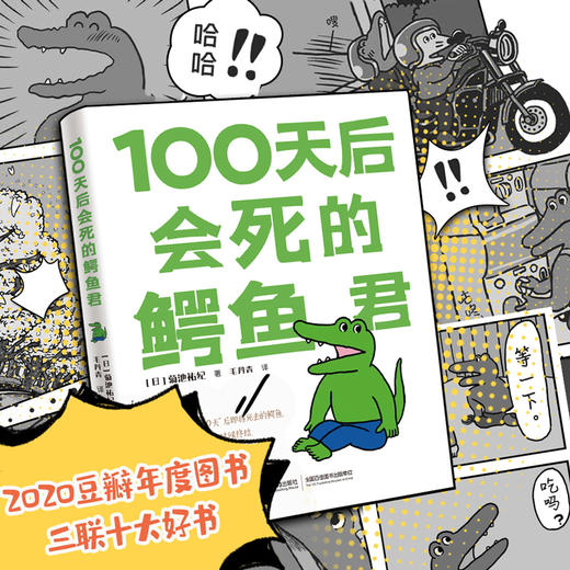 100天后会死的鳄鱼君+不抓住什么就会飞走的海豹君 商品图4