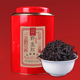 2026滇红茶春茶 野红 凤庆滇红茶叶自然花香味500g/罐