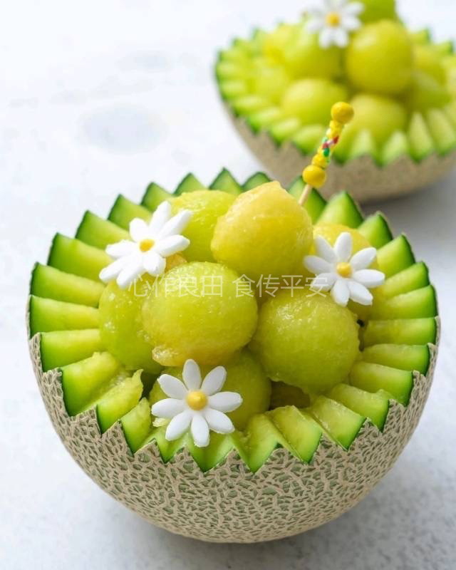 阿林有机种植星辰网纹瓜