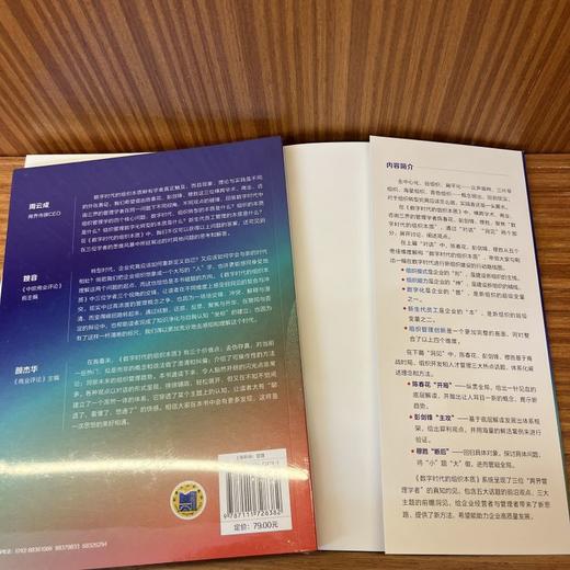 官网 数字时代的组织本质 陈春花 彭剑锋 穆胜 企业经营管理学书籍 商品图5