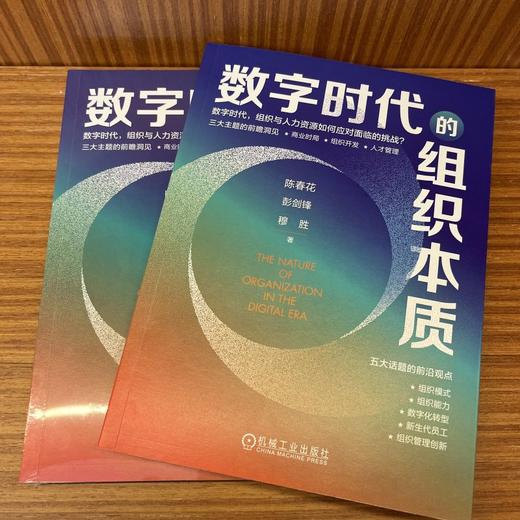 官网 数字时代的组织本质 陈春花 彭剑锋 穆胜 企业经营管理学书籍 商品图1