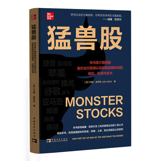 猛兽股 年内至少翻倍股股价运行规律以及获取高额利润的规则、纪律与技术 商品图0