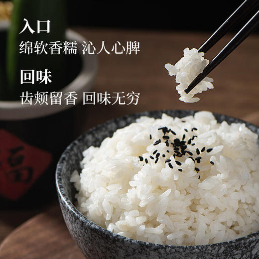 裕道府五常大米长粒香米5kg（绿色）GB/T 1354 商品图3