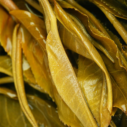 【弯弓】有钱难买的稀缺货，弯弓作为易武茶的终点那白茶园则是弯弓中的终点，稀缺高杆古树资源 商品图6