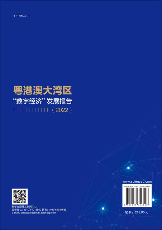 粤港澳大湾区“数字经济”发展报告.2022 商品图1