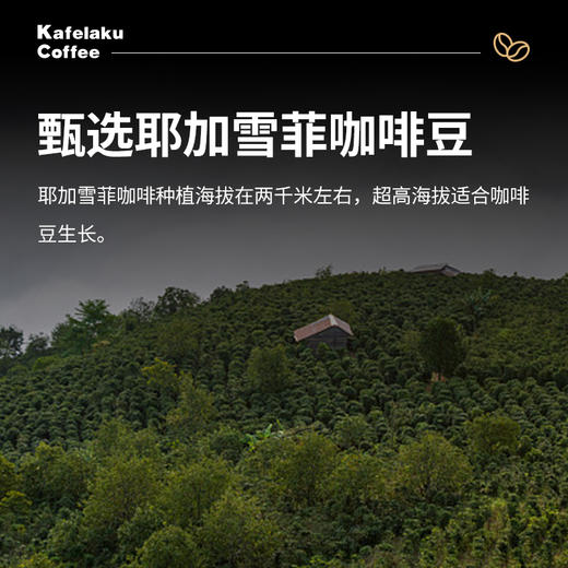野鼬耶加雪啡挂耳咖啡9x10g*24盒/箱 商品图1