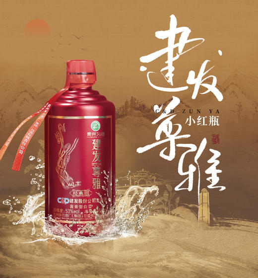 【员工内购】建发尊雅·经典版（小红瓶）53%vol 500ml 商品图1
