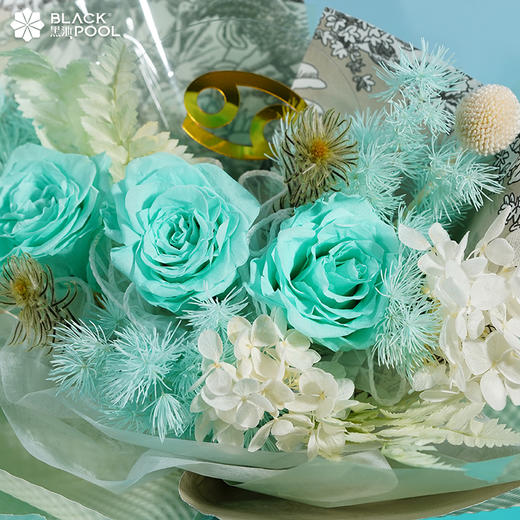 【巨蟹座永生守护花】所有与爱有关的事物 都在此刻生长萌芽 商品图2