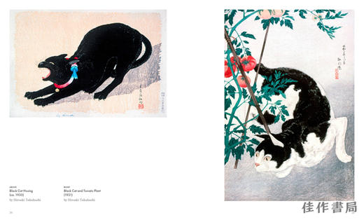 Art Cat: Fine Felines of the Art World / 艺术中的猫:艺术世界中的猫科动物 商品图3