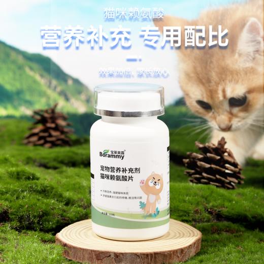 宝莱美露 猫咪赖氨酸片100粒 营养品批发 商品图5