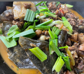 松滋野外生态甲鱼新鲜活鱼5斤半