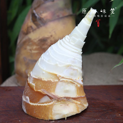 【周二周五发货】生态甜龙笋（基地直发-顺丰包邮）| 多种规格，来自广州市从化区，生产者：黄新【合作生产，公平贸易】 商品图2