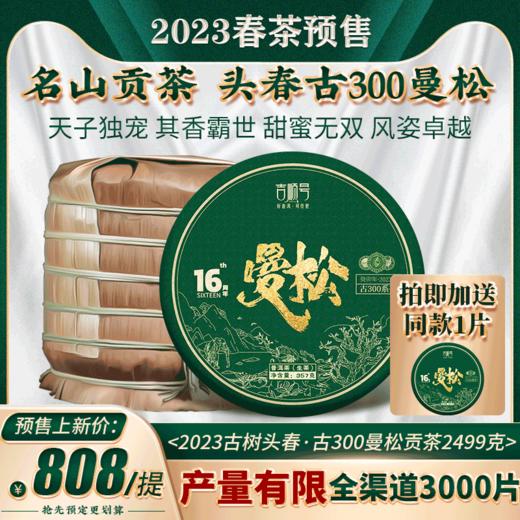 2023春茶 吉顺号古300曼松古树茶普洱茶生茶饼357克/饼 商品图0
