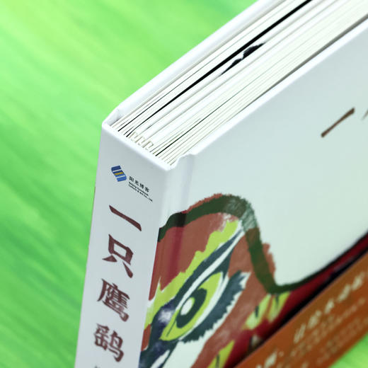 一只鹰鹞 《父母爱情》演员、中央戏剧学院表演教师刘天池真挚推荐，一本动起来的的中国原创童谣 商品图3