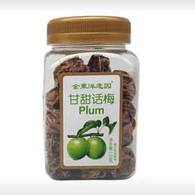 200g金東洋恋园九制话梅
