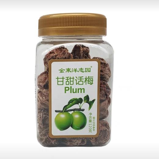 200g金東洋恋园九制话梅 商品图0