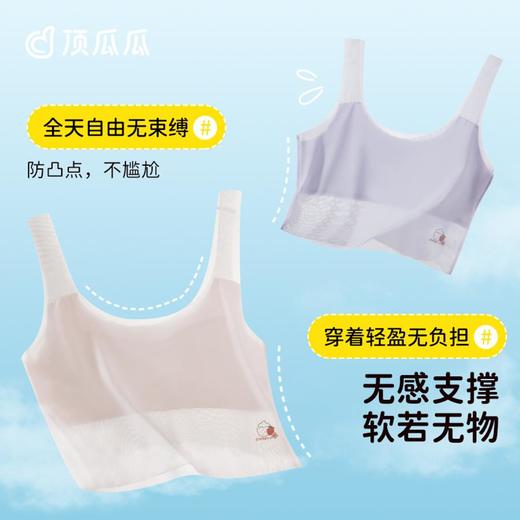 3部顶瓜瓜【二阶段12-16】无痕少女文胸2件装 APT52052-2 商品图2