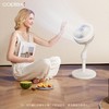 瑞士COPLAX空气循环扇静音家用台立式节能摇头变频遥控落地电风扇 商品缩略图3