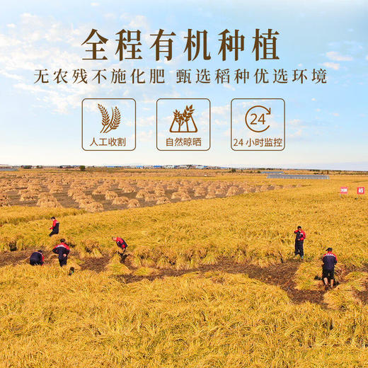 裕道府五常大米5kg五常湿地有机大米GB/T 19266 商品图2