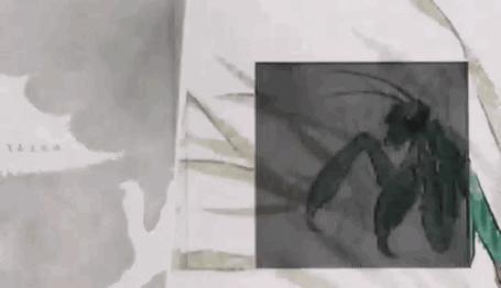 一只鹰鹞 《父母爱情》演员、中央戏剧学院表演教师刘天池真挚推荐，一本动起来的的中国原创童谣 商品图10