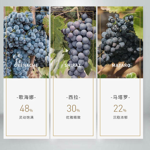 熙柏GSM红葡萄酒 商品图3