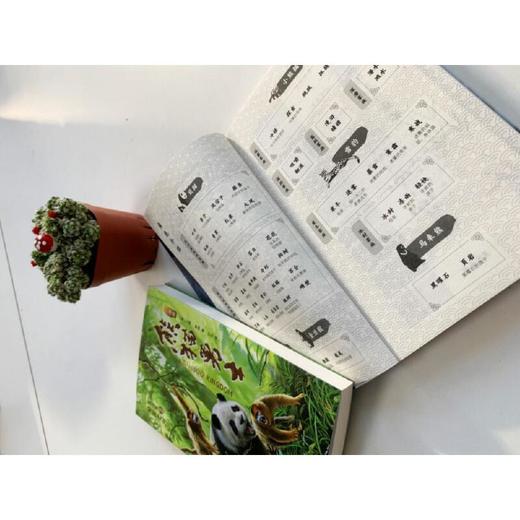 熊猫勇士一部曲·悦读版（3册）赠独家笔记本 畅销书《猫武士》作者艾琳·亨特力作，由中国少年儿童新闻出版总社全球荣誉首发！ 商品图4