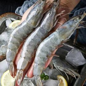 每只都是鲜活捕捞，口感细嫩鲜甜，厄瓜多尔白虾价格太良心了，快冲！