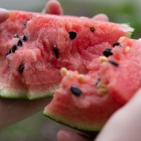 有机小西瓜  | 合作生产 * Organic Watermelon | Partner Production