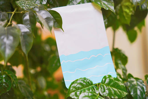 Z【现货】冻干粉修复面膜 【老客户定制专属链接】【此产品参加满199包邮】 商品图1