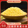 【吉顺号食品】小米新米云南高山生态黄小米煮粥食材500克 商品缩略图0