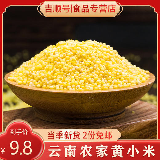 【吉顺号食品】小米新米云南高山生态黄小米煮粥食材500克 商品图0