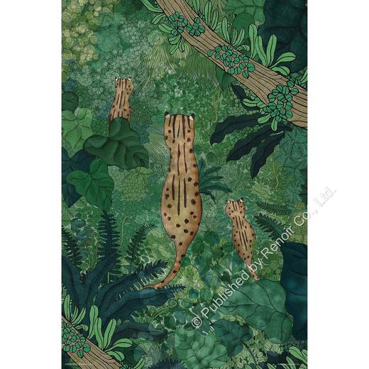 石虎山林漫步/1008片 商品图0