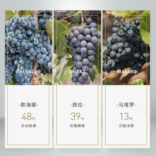 梦蒂贝罗GSM红葡萄酒 2018 商品图4
