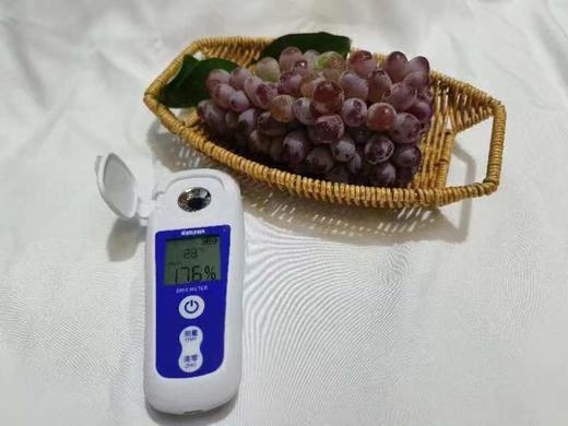 XZG-茉莉香葡萄  入口醇香，纯甜无酸！ 1.5斤+-0.1/份～18元 约2-3串 商品图1