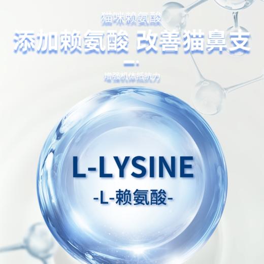 宝莱美露 猫咪赖氨酸片100粒 营养品批发 商品图3
