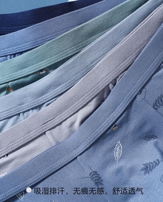 男士舒适透气莫代尔印花盒装平角内裤23254/13254/33254/43254 商品图6