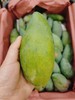 桂七芒5斤 商品缩略图1