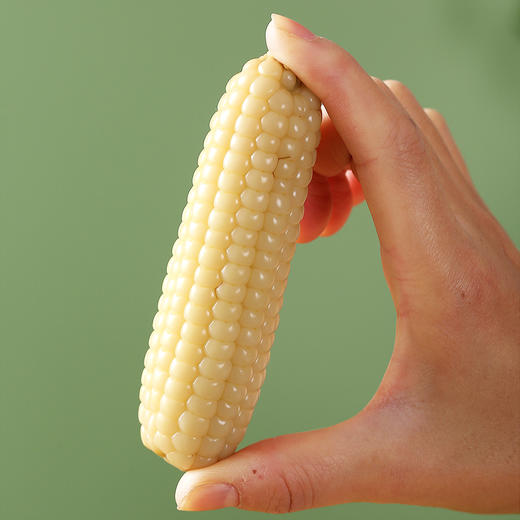 『西双版纳拇指小玉米』粘糯清甜，个头袖珍，非转基因，更适合孩子的早餐粗粮！ 商品图1