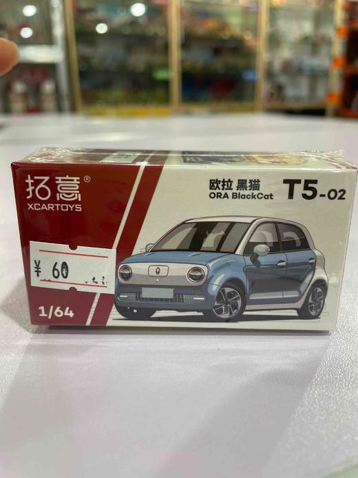 拓意合金车  T5-2	欧拉黑猫-蓝波万 商品图0