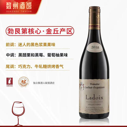 【拉图瓦村庄级AOC】凯撒世家拉图瓦老藤干红葡萄酒 AOC等级 13.5%vol 商品图9